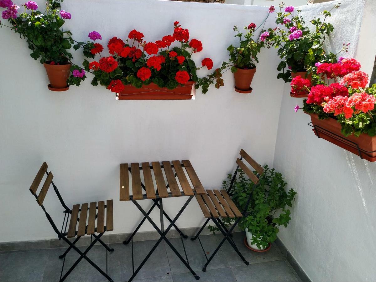 Apartamento Entero "El Casco Antiguo" Vt-46811-V Шатіва Екстер'єр фото
